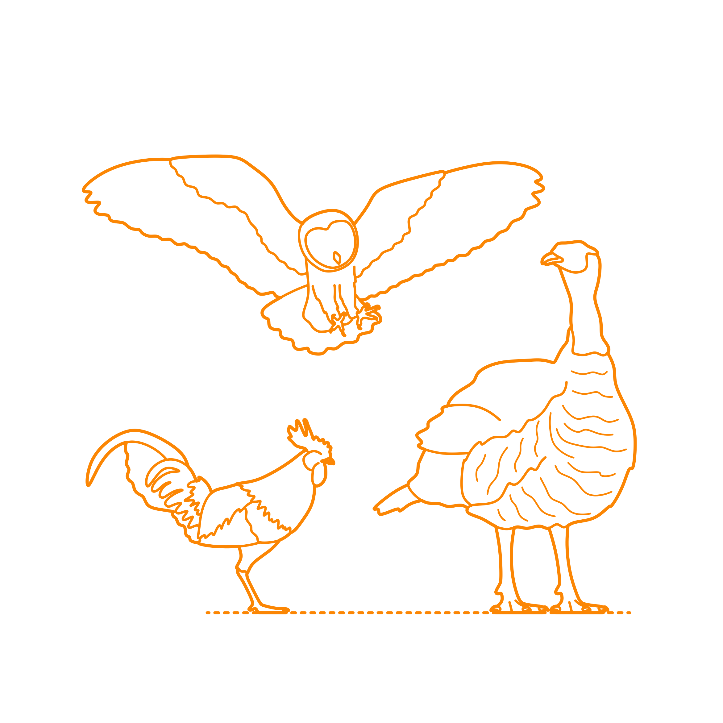 Animals Terrestrial Birds Contour Svg Vector Free Vectors